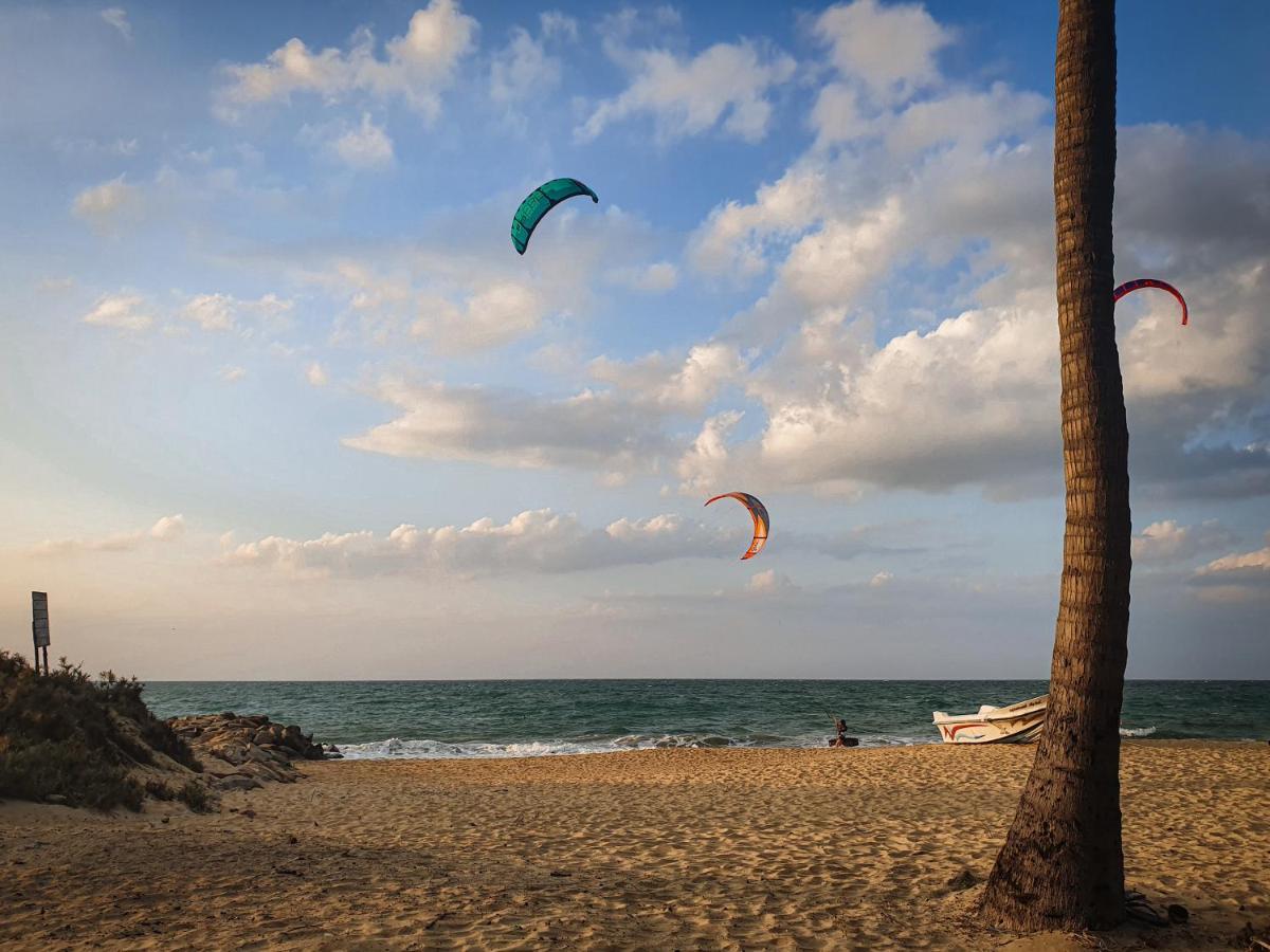Windy Waves Kite Beach & Nature Resort カルピティヤ エクステリア 写真